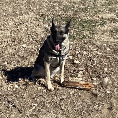 timstucktampon's profile picture. 