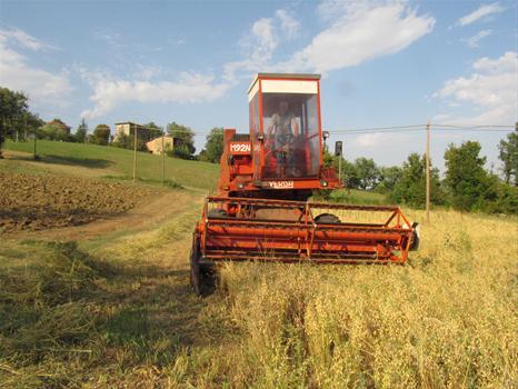 azienda agricola biologica