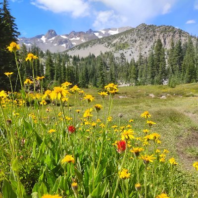 Seedofsounds's profile picture. 