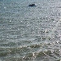 إبن تهامة الحديدة عشقي (@abwasm58302) Twitter profile photo