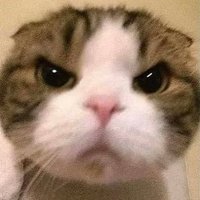 Gohan (@godzillla01) 's Twitter Profile Photo Gohan (@godzillla01) 's Twitter Profile Photo