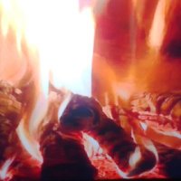 eylem savaş (@eylem_savas69) 's Twitter Profile