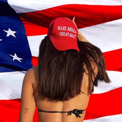 ytapollo1444's profile picture. Proud white nationalist and patriot. It's ok to be white. DMS open to other patriots! discord is apolloschampion