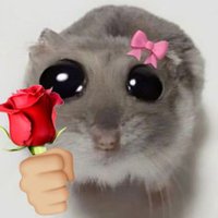 랑빤 (@laopo_wife) 's Twitter Profile Photo 랑빤 (@laopo_wife) 's Twitter Profile Photo