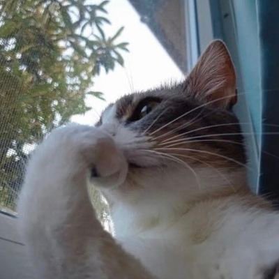 alo112mii's profile picture. 