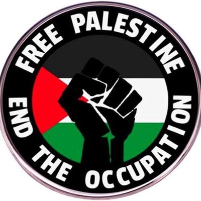 BirtleG87631's profile picture. socialist,anti Zionist! freedom lover💚