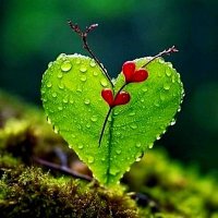 zeynep 939 (@zeynepate317237) 's Twitter Profile Photo