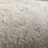 RT Findom (@rtpromofindom1) 's Twitter Profile