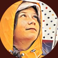 Keta Thunberg 🧻 (@_k3t4_) 's Twitter Profile