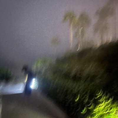 mcflrry1041158's profile picture. male /18/ i dont accept blanks btw! / nl