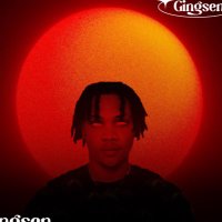 KINGSENBARSVOL3 (@gingsen_) 's Twitter Profile Photo KINGSENBARSVOL3 (@gingsen_) 's Twitter Profile Photo