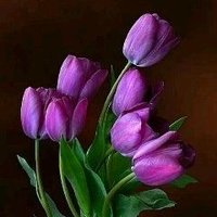 إنصاف المصري 💜 آل سيف 💜 (@uiwxocqnmusswse) 's Twitter Profile Photo