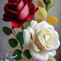 Mohamad Samar (@mohamad_sa48967) 's Twitter Profile