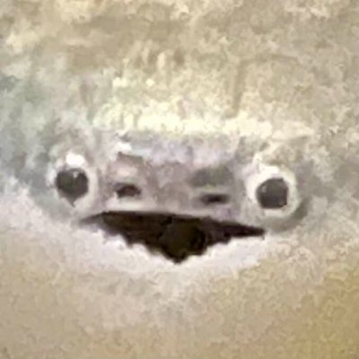 Atomiczee's profile picture. They/Them | 🇫🇮/🇯🇵 | @Xenithvee & @y0shell :D | Thank you @PolarNightSpl💕, @Team_OutOfTune💕| Banner by @lakikakku