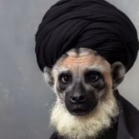 🦊روباه🦊 (@rroba202054) 's Twitter Profile