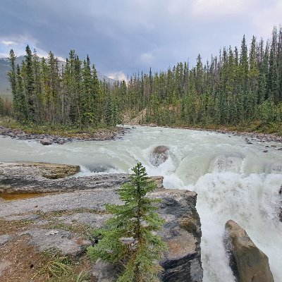 zoektantwoorden's profile picture. Moeder, partner, 2 fantastische🙍🙎‍♂️tweet op persoonlijke titel. Juridisch google wonder afgestudeerd aan de Google University.