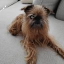 Jon Burkhart - @goburky7000 - Twitter