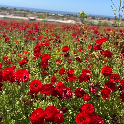 ViBeLaBo's profile picture. To Re-establish Faith & Family the way to stop violence in the world🙏🏼🙏🏼🙏🏼