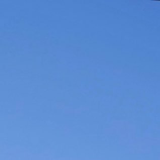 JetsJACK12's profile picture. 