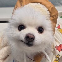 Liastanπ―ππ― (@isaacbwayo1) 's Twitter Profile
