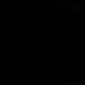 ttti788's profile picture. 