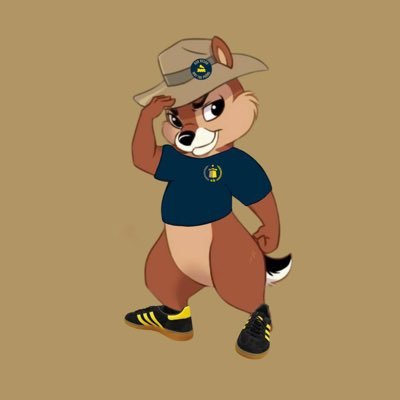 hjärtat slår för allt som är AIK