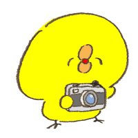 シン・ピヨ助総裁 (@e353kobutizawa) 's Twitter Profile Photo シン・ピヨ助総裁 (@e353kobutizawa) 's Twitter Profile Photo