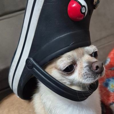 u3mura's profile picture. 
