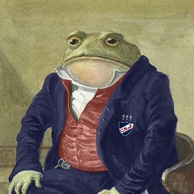 Gallardo_Bolso's profile picture. hincha de Nacional