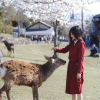 茂木希子 (@xizi1840) 's Twitter Profile