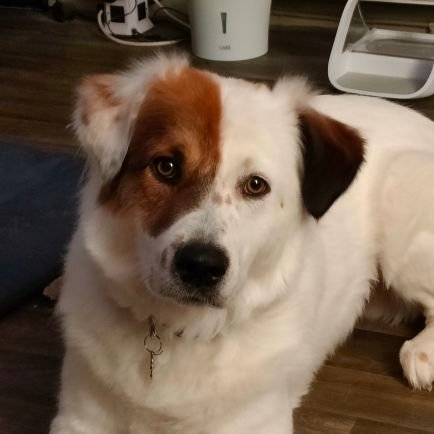 Jenny🌷⚘🌻🌹Fleming(Hayes)