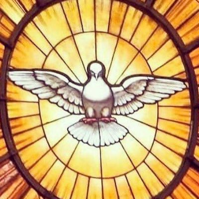TOTINYU's profile picture. Vivo en valencia españa