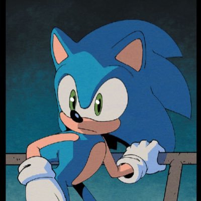 Sonadowww's profile picture. 22, she/her 🖤💙 Sonadow brainrot….