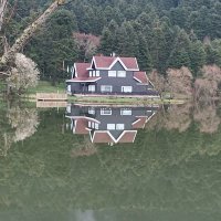 ELİF ERCAN (@elifercan58) Twitter profile photo