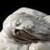 Desiderium Articulatum (@carnivorebudget) Twitter profile photo Desiderium Articulatum (@carnivorebudget) Twitter profile photo