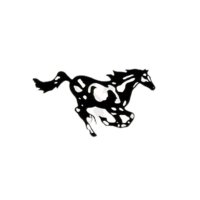 Medford Mustangs (@medfordmustang1) 's Twitter Profile