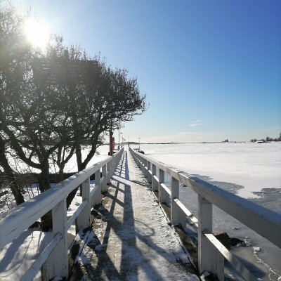 ZanaBalikci's profile picture. Researcher.