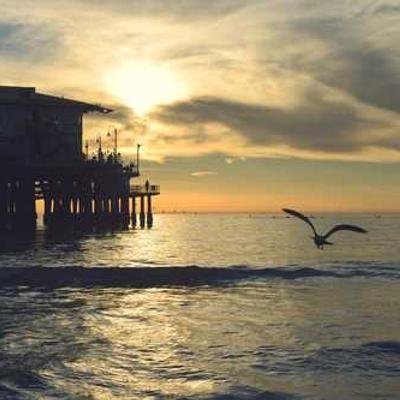 askey81197's profile picture. 