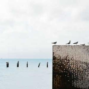 McweeneyV15281's profile picture. 