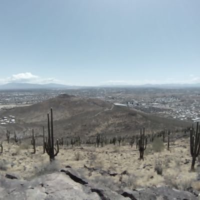 2047Toplurk's profile picture. 