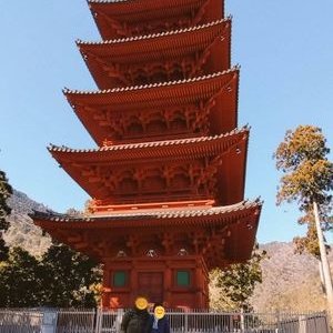 てつ 峡南大好き kyounandaisuki日常垢💻️報恩感謝🙏風薫る5月