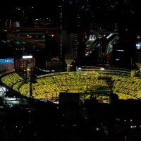 nao ohisama ◢⁴⁶ (@ahakeren) 's Twitter Profile