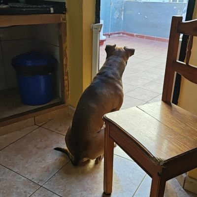 ricky1389112191's profile picture. 