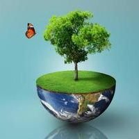 Saliou COUNDOUL (@coundoul_salio) Twitter profile photo