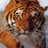 seregaLobaw's profile image