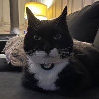 Liam (@liam_0__) 's Twitter Profile