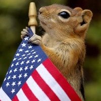 NuttSmuggler (@nuttsmuggler) 's Twitter Profile