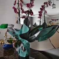 DRND (@nejatdemir17955) Twitter profile photo