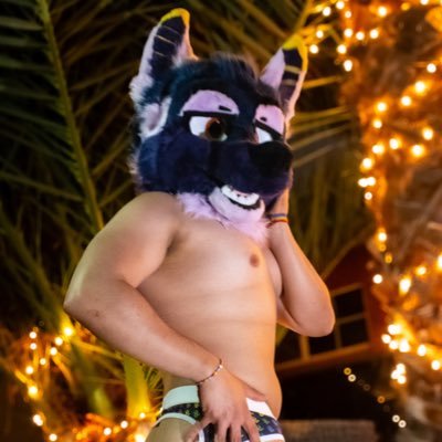 VossChacal's profile picture. +18 🔞 - Furry - 20 - Pansexual - Puppy -
