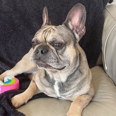 Glor_0x0's profile picture. 